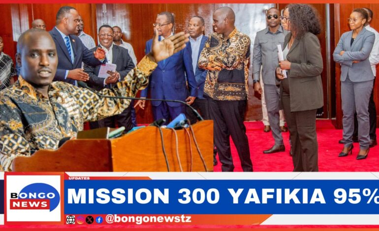  MAANDALIZI YA MKUTANO WA NISHATI WA WAKUU WA NCHI AFRIKA (MISSION 300) YAFIKIA ASILIMIA 95- DKT.BITEKO