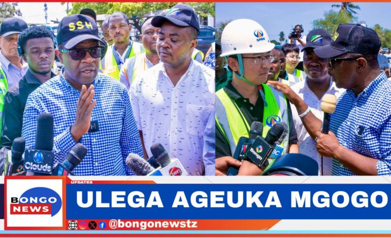  KISA KUSUASUA KWA MIRADI, WAZIRI ULEGA ATOA ONYO KWA WAKANDARASI WA CHINA